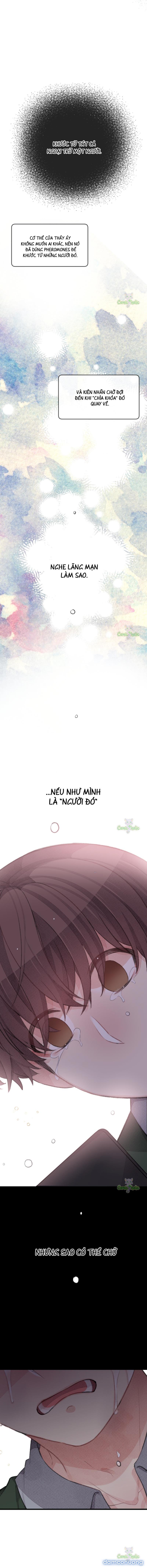 Trong Tâm Trí Của Quý Ngài Beta 