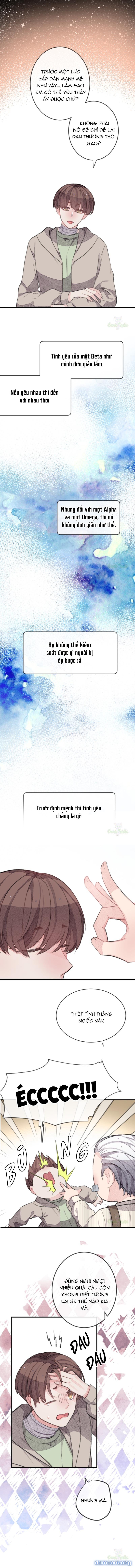 Trong Tâm Trí Của Quý Ngài Beta 