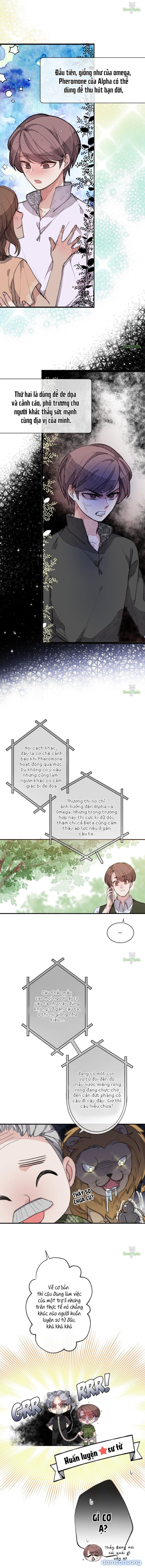 Trong Tâm Trí Của Quý Ngài Beta 