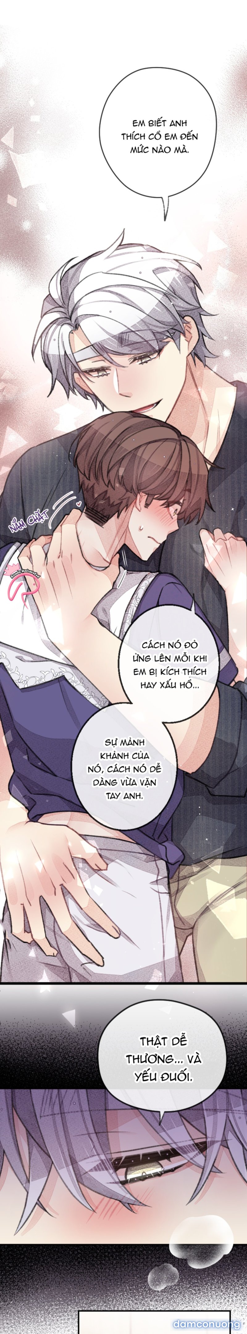 Trong Tâm Trí Của Quý Ngài Beta 