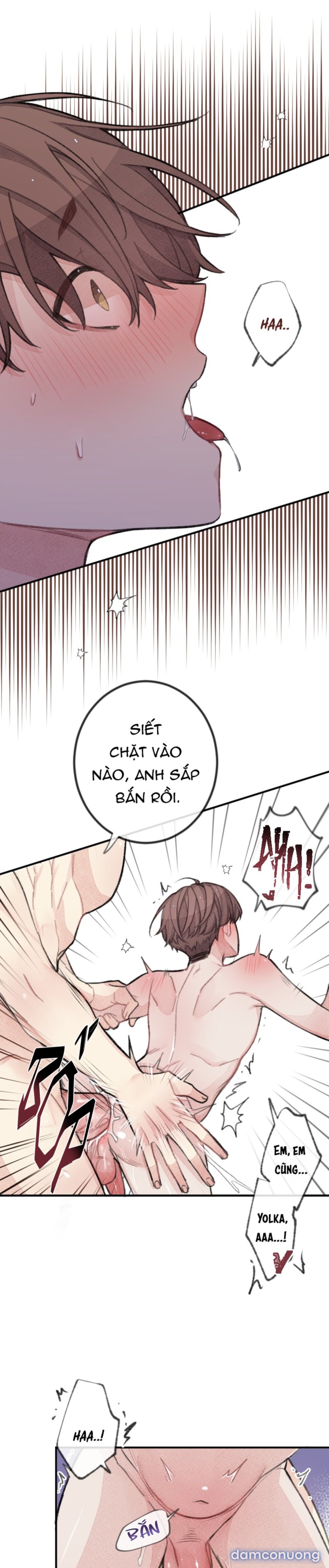 Trong Tâm Trí Của Quý Ngài Beta 