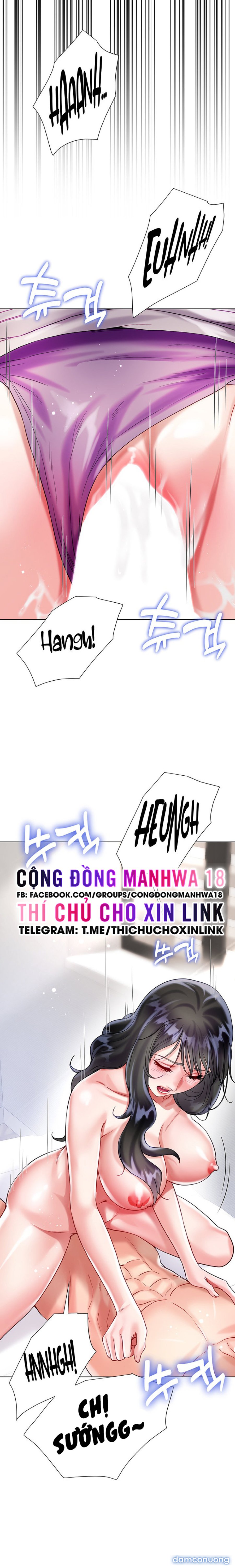 Thương Thầm Chị Dâu 