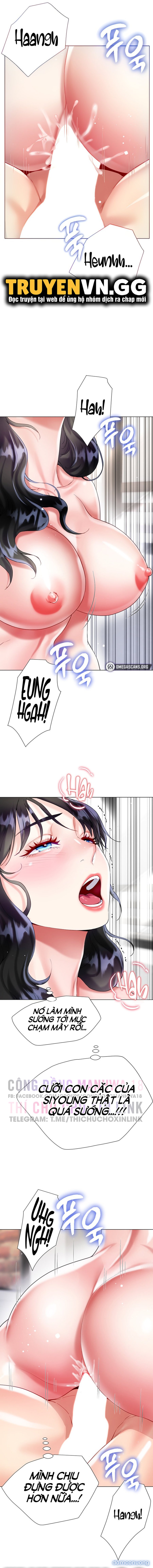 Thương Thầm Chị Dâu 