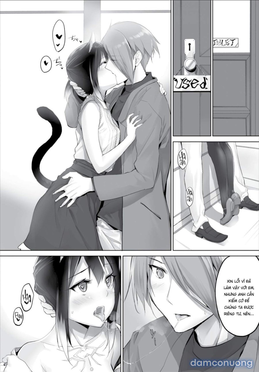 Nô Lệ Tai Mèo 