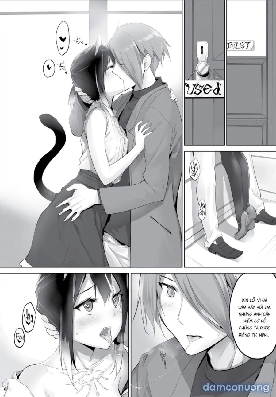 Nô Lệ Tai Mèo 