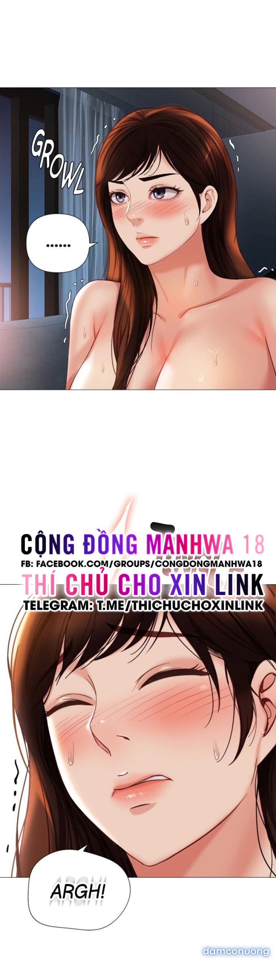 Bạn của con gái tôi 