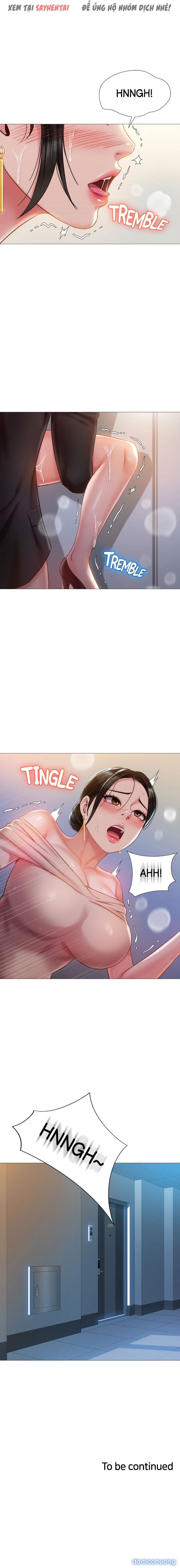 Bạn của con gái tôi 