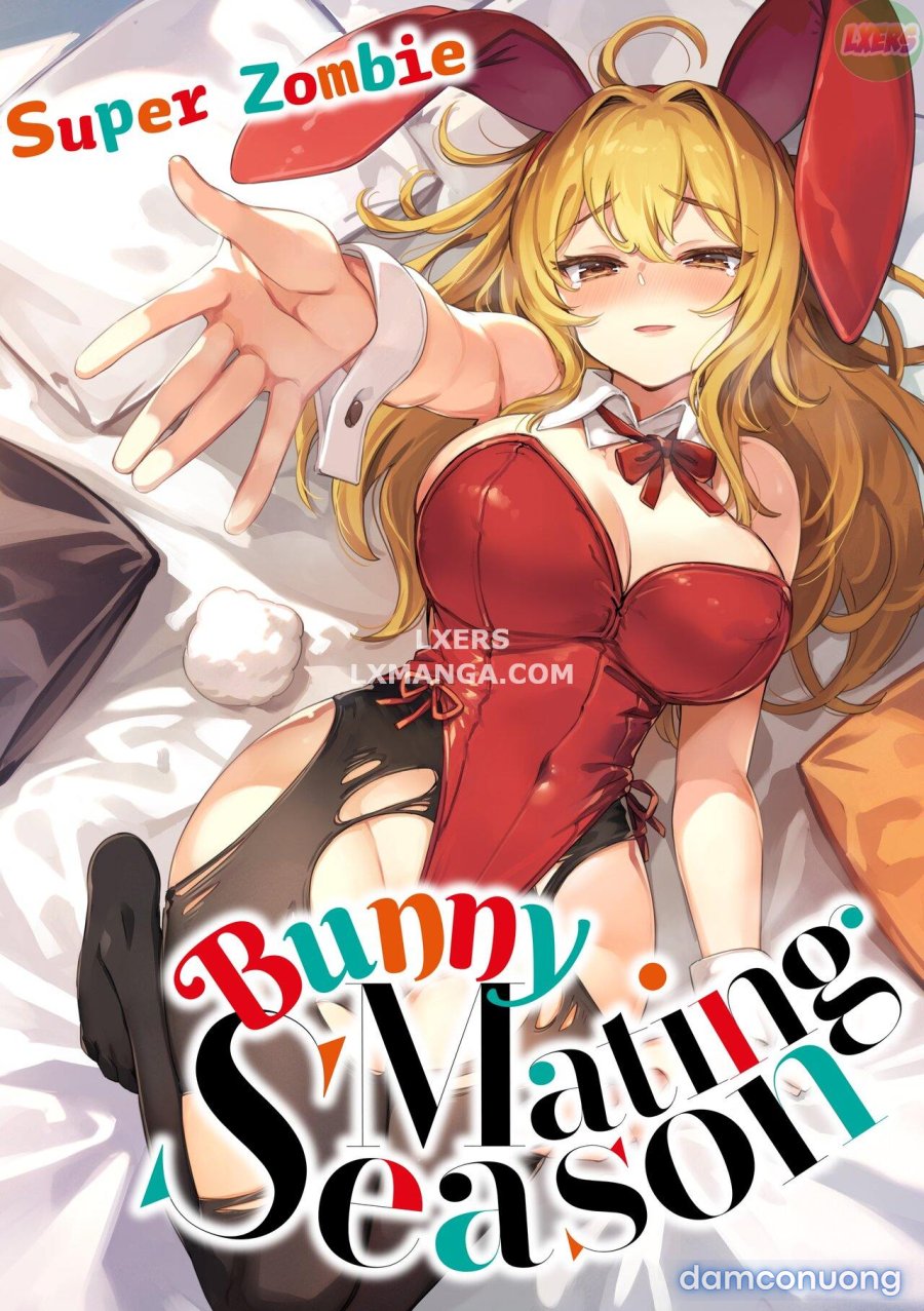 Bunny Mating Season 