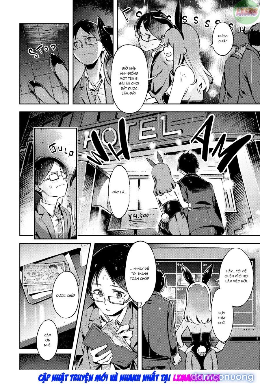 Bunny Mating Season 