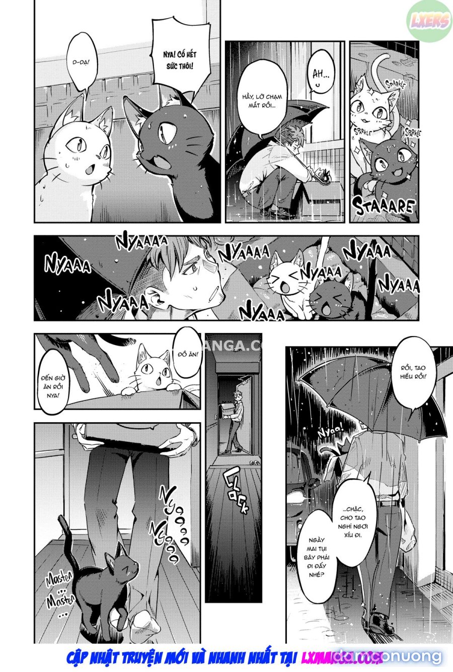 Bunny Mating Season 