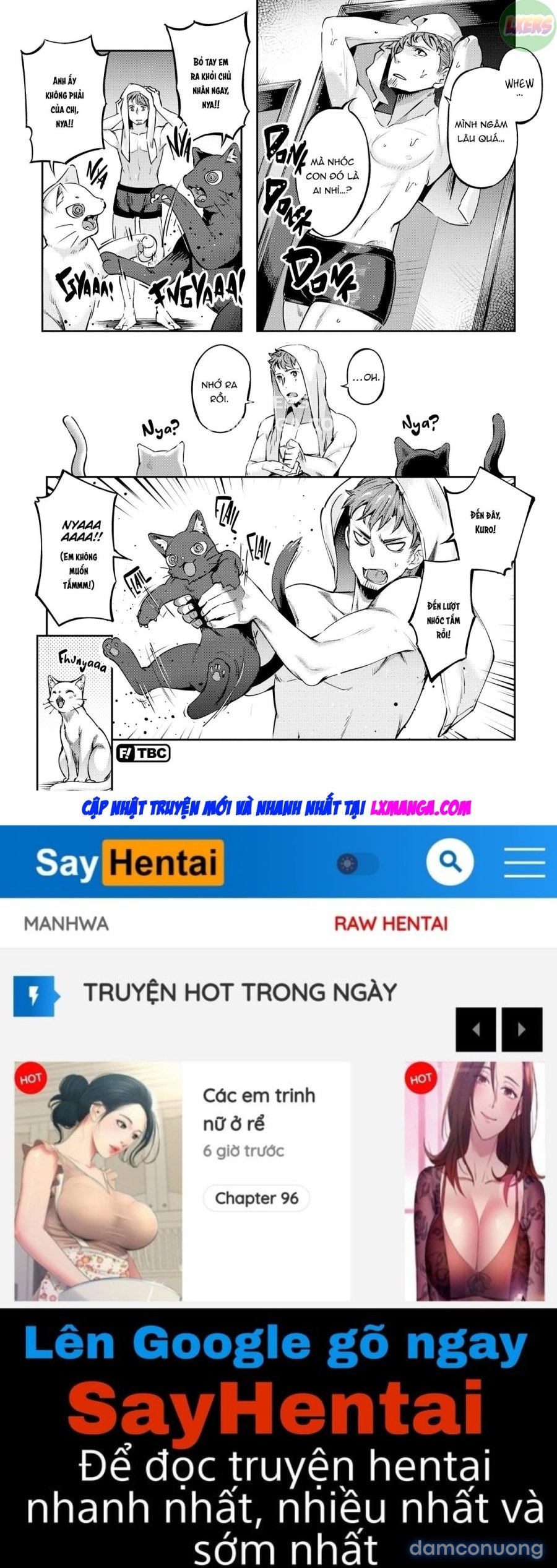 Bunny Mating Season 