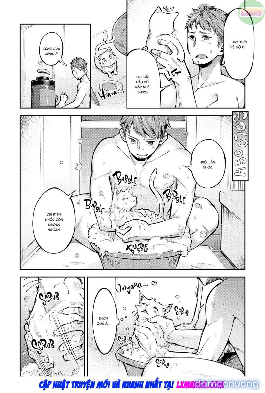 Bunny Mating Season 