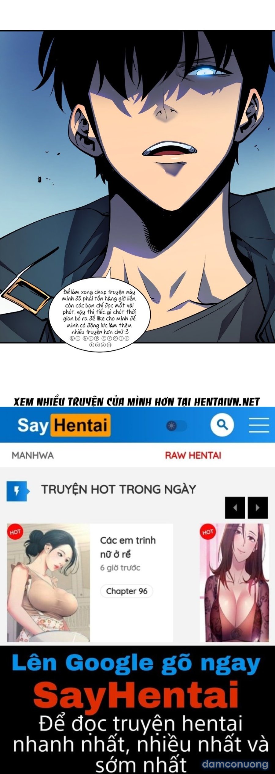 Thuê Băng Phim Heo 