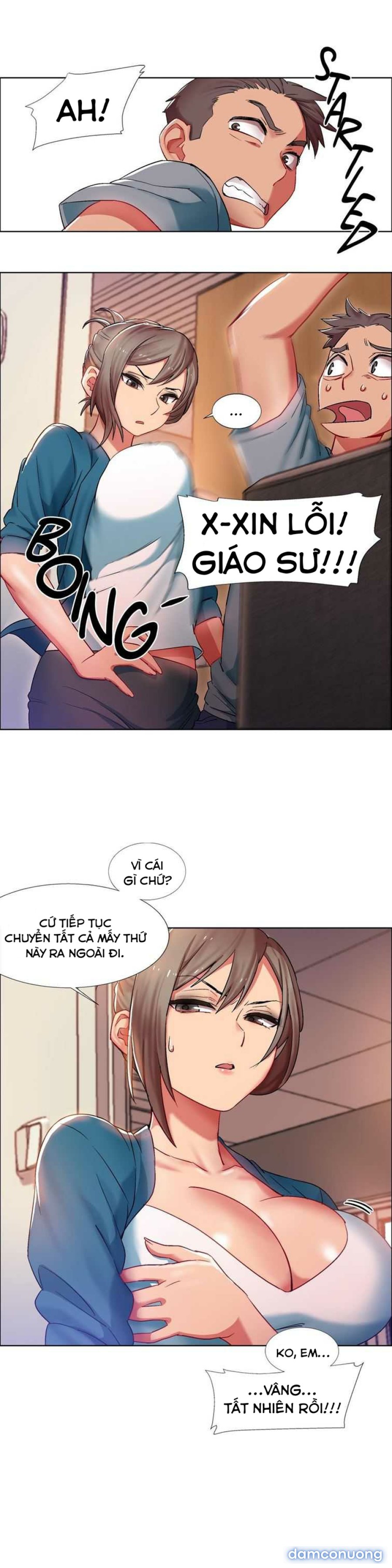 Thuê Băng Phim Heo 