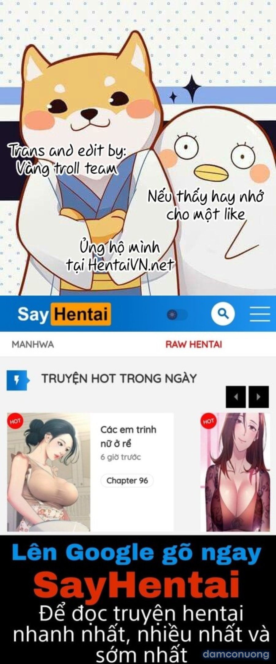 Thuê Băng Phim Heo 