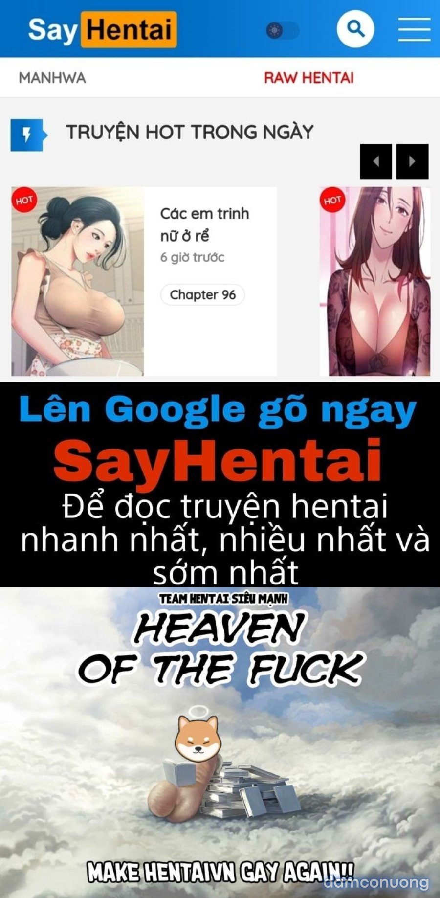 Thuê Băng Phim Heo 