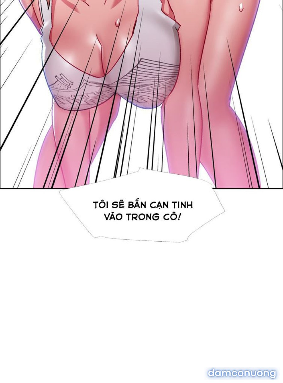 Thuê Băng Phim Heo 
