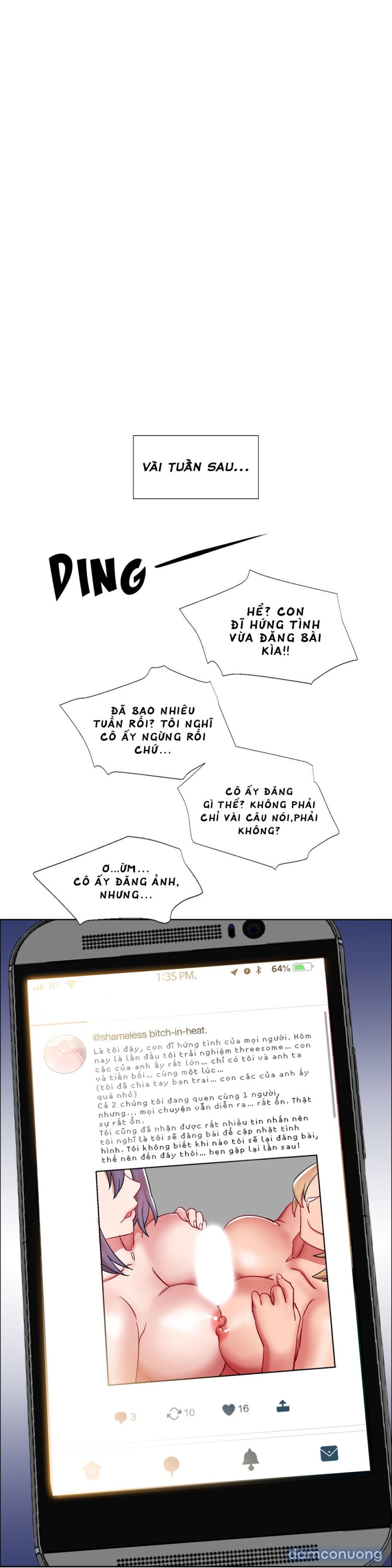 Thuê Băng Phim Heo 