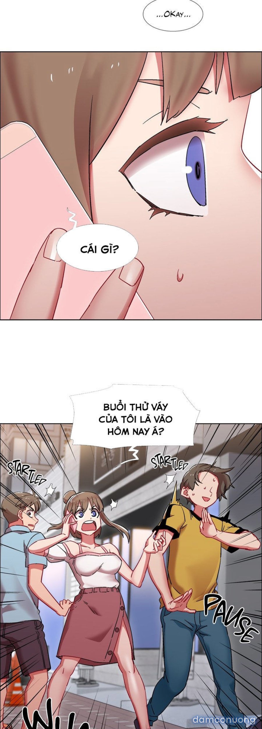 Thuê Băng Phim Heo 