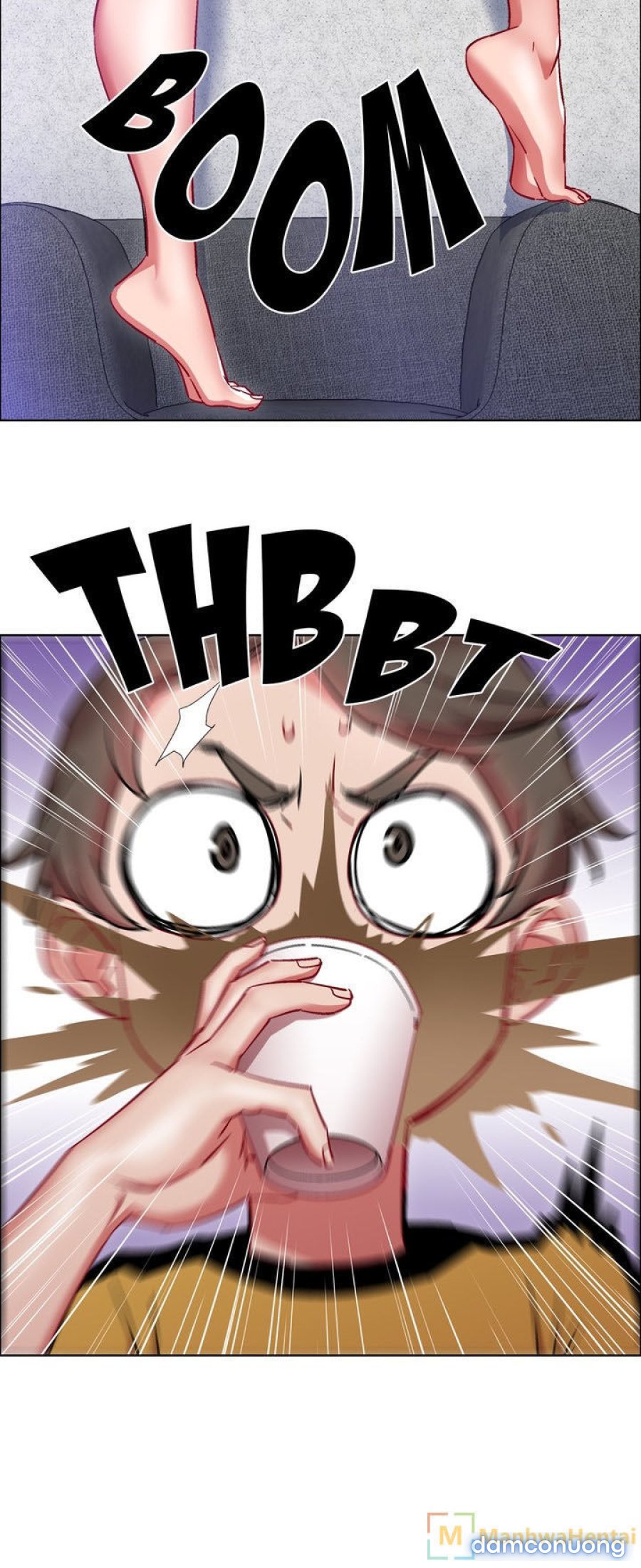 Thuê Băng Phim Heo 