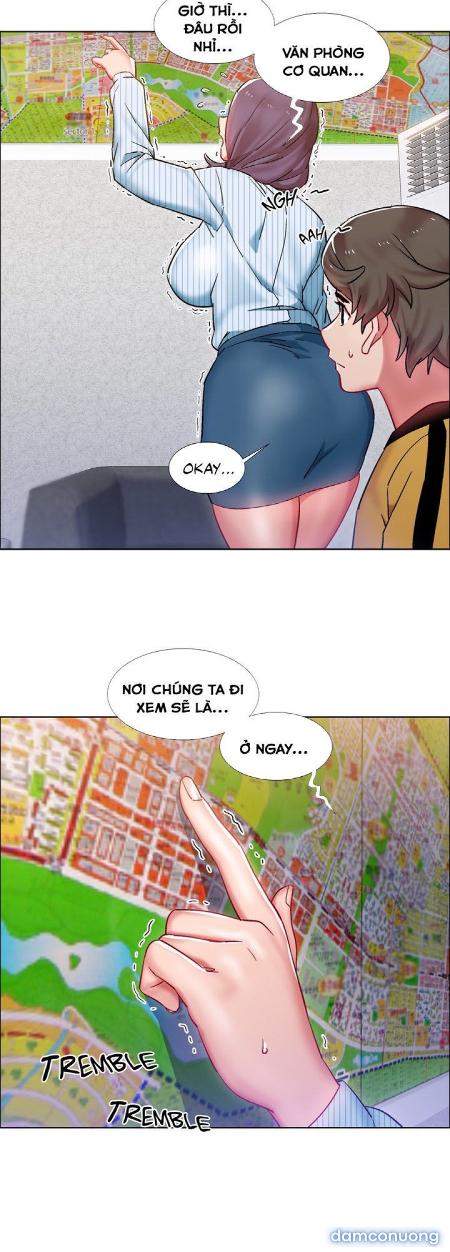 Thuê Băng Phim Heo 