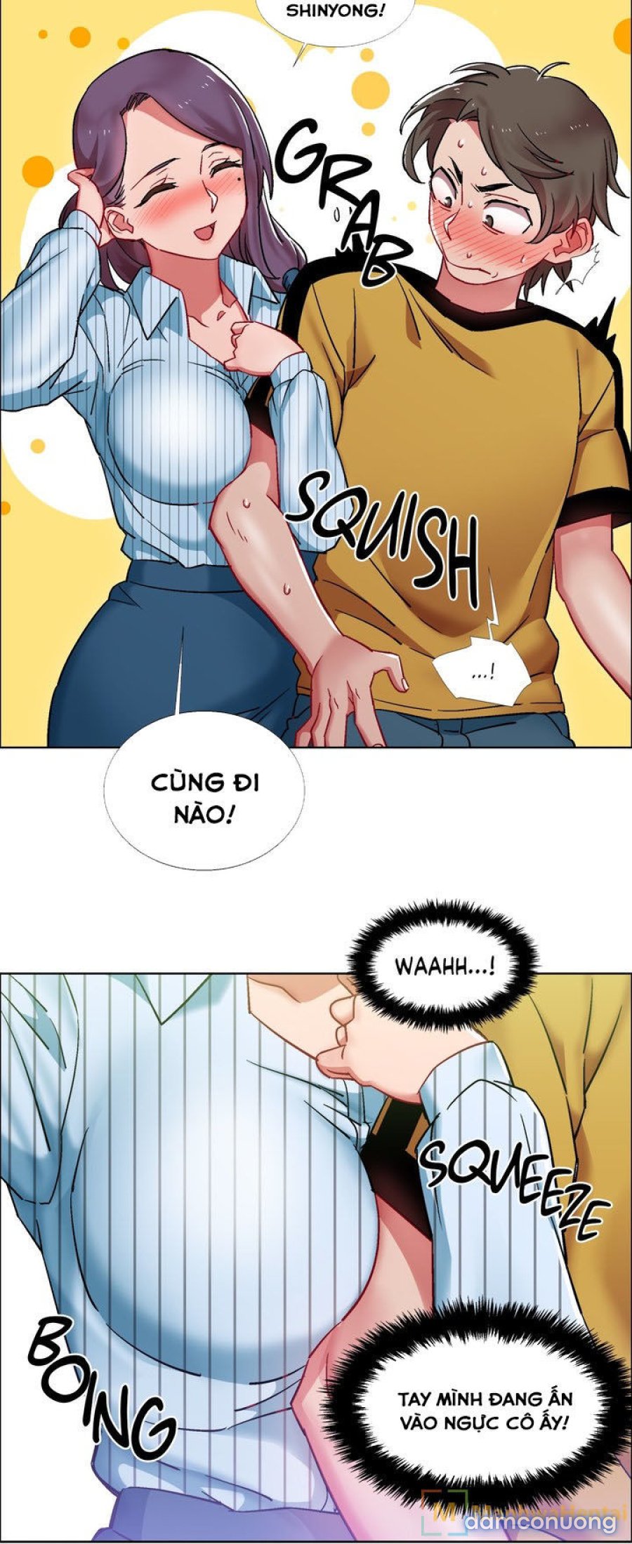 Thuê Băng Phim Heo 