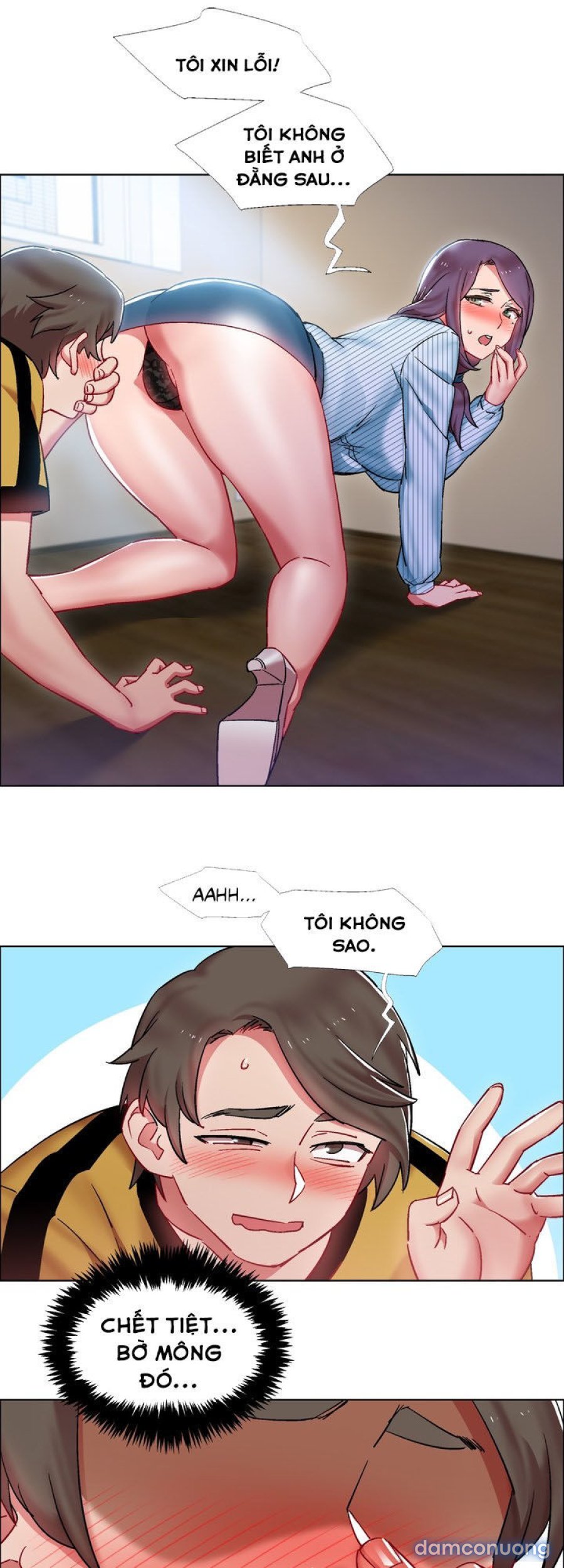 Thuê Băng Phim Heo 