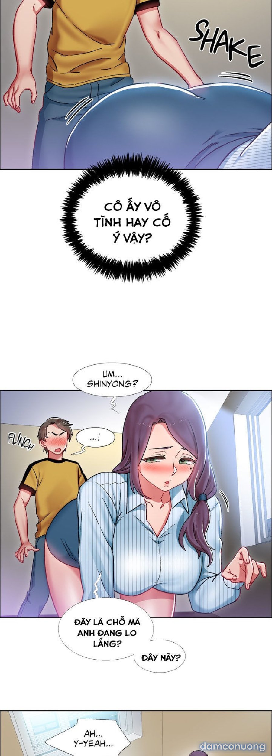 Thuê Băng Phim Heo 