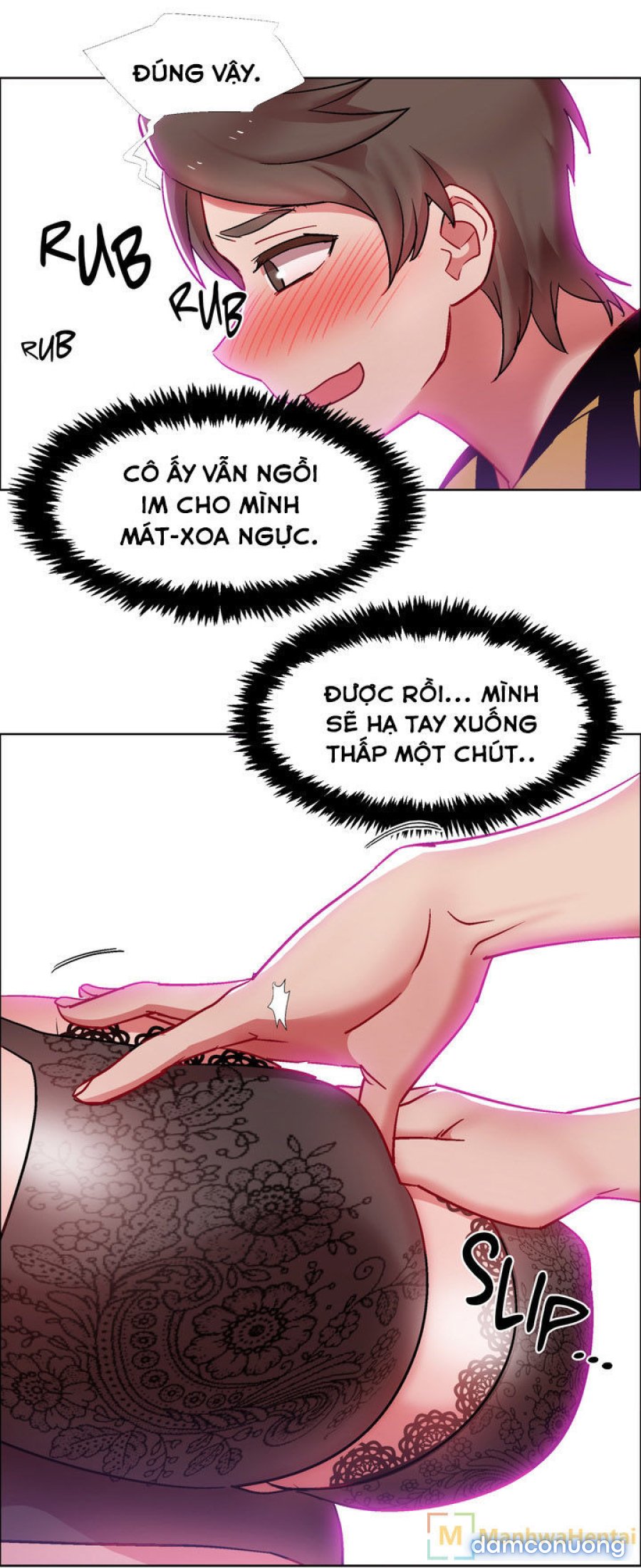 Thuê Băng Phim Heo 