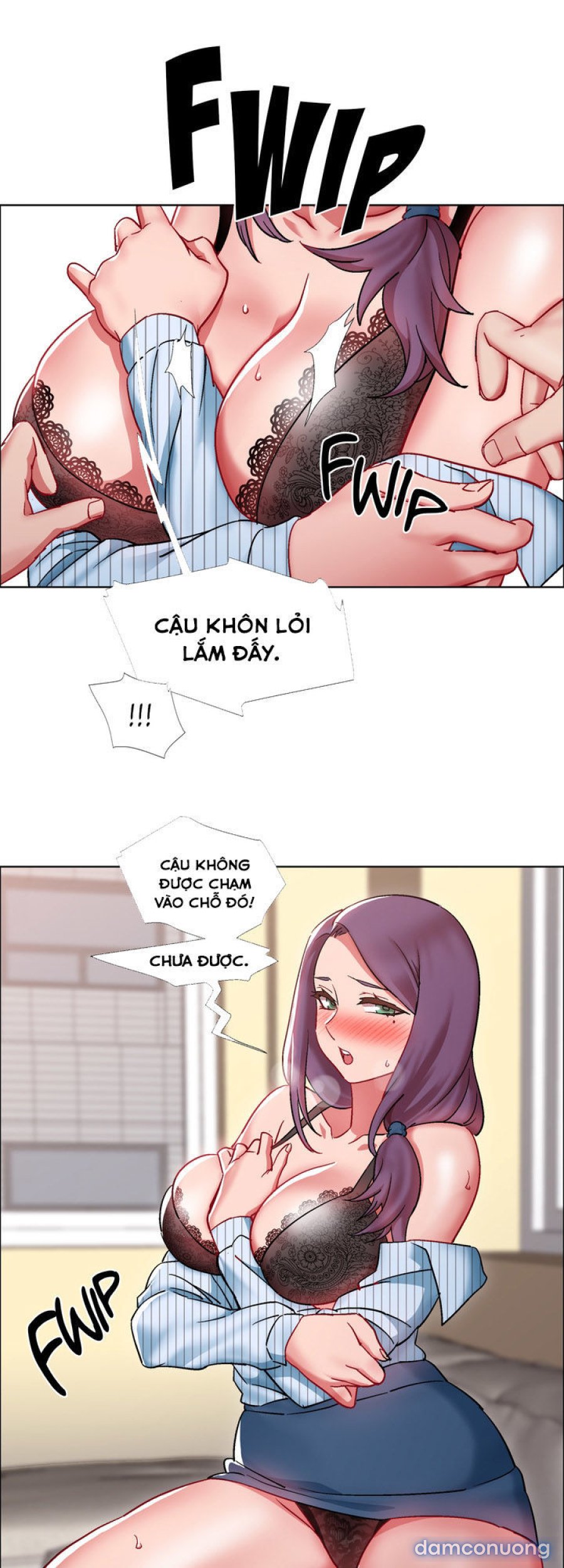Thuê Băng Phim Heo 