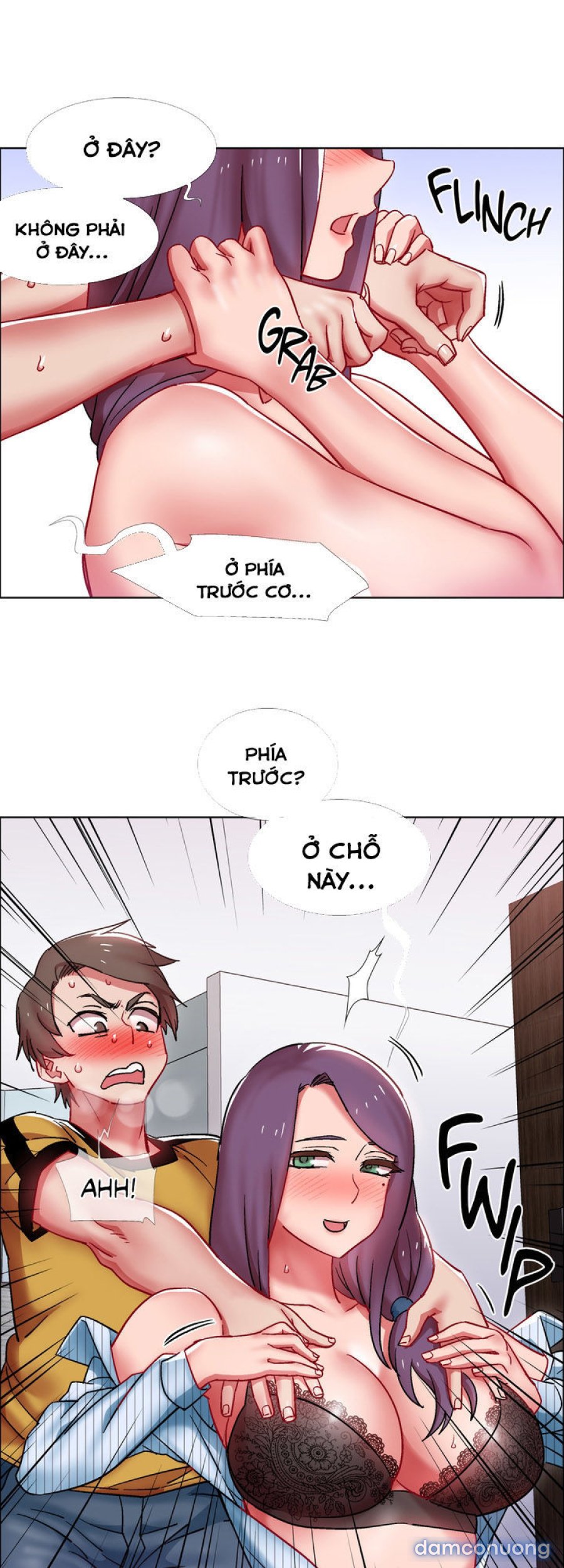 Thuê Băng Phim Heo 