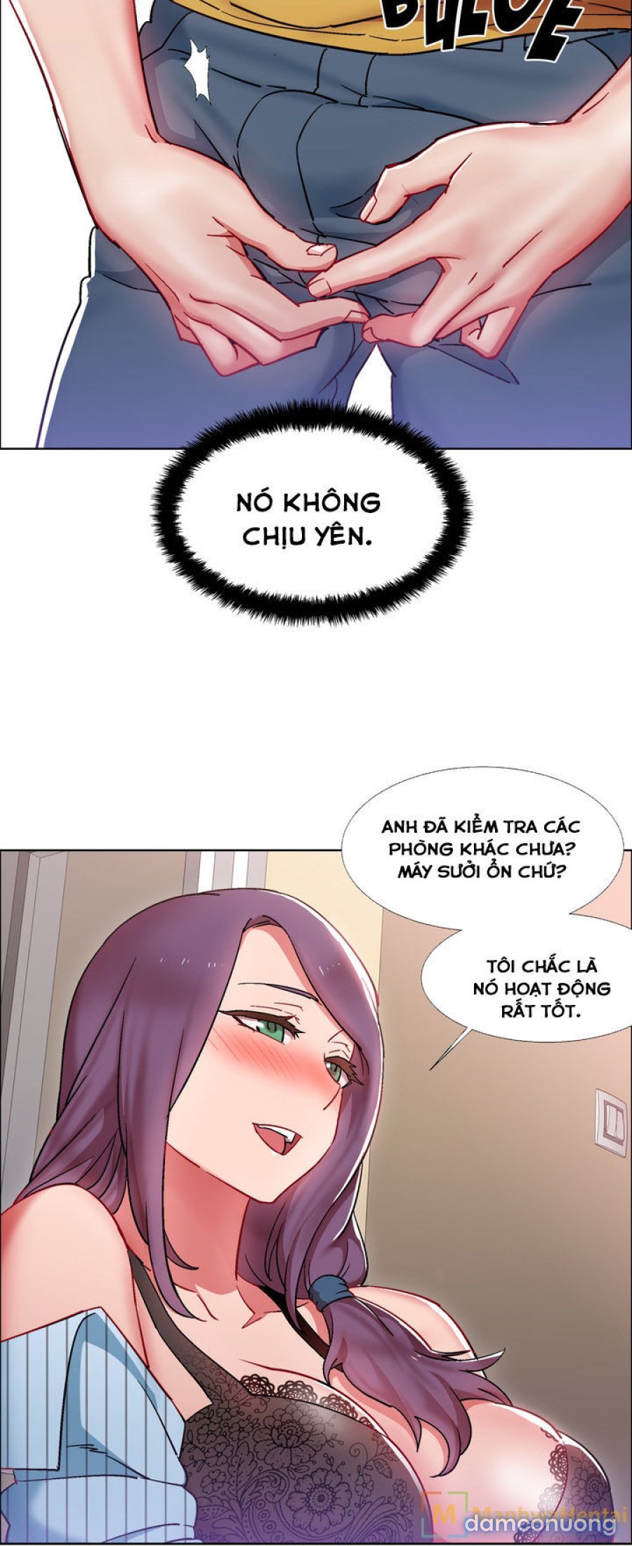 Thuê Băng Phim Heo 