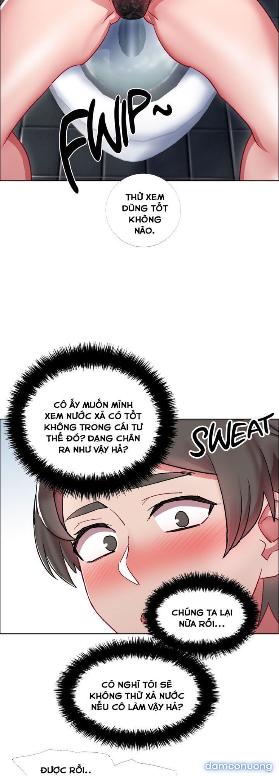 Thuê Băng Phim Heo 