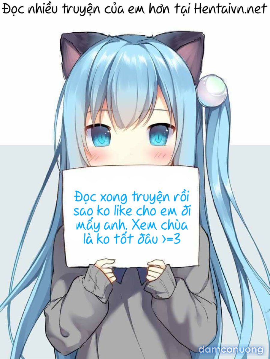 Thuê Băng Phim Heo 