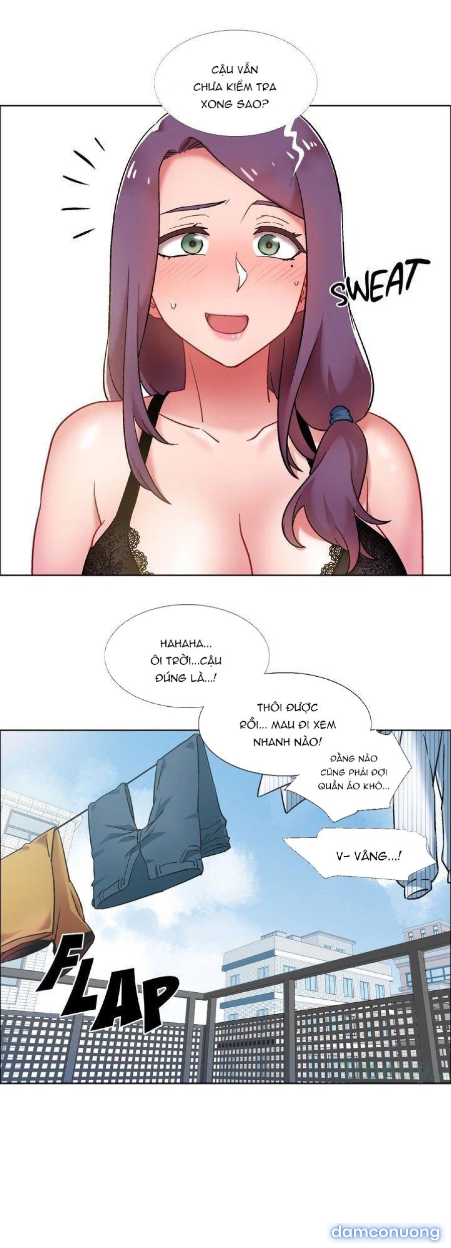 Thuê Băng Phim Heo 