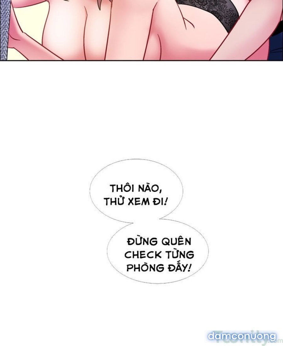 Thuê Băng Phim Heo 