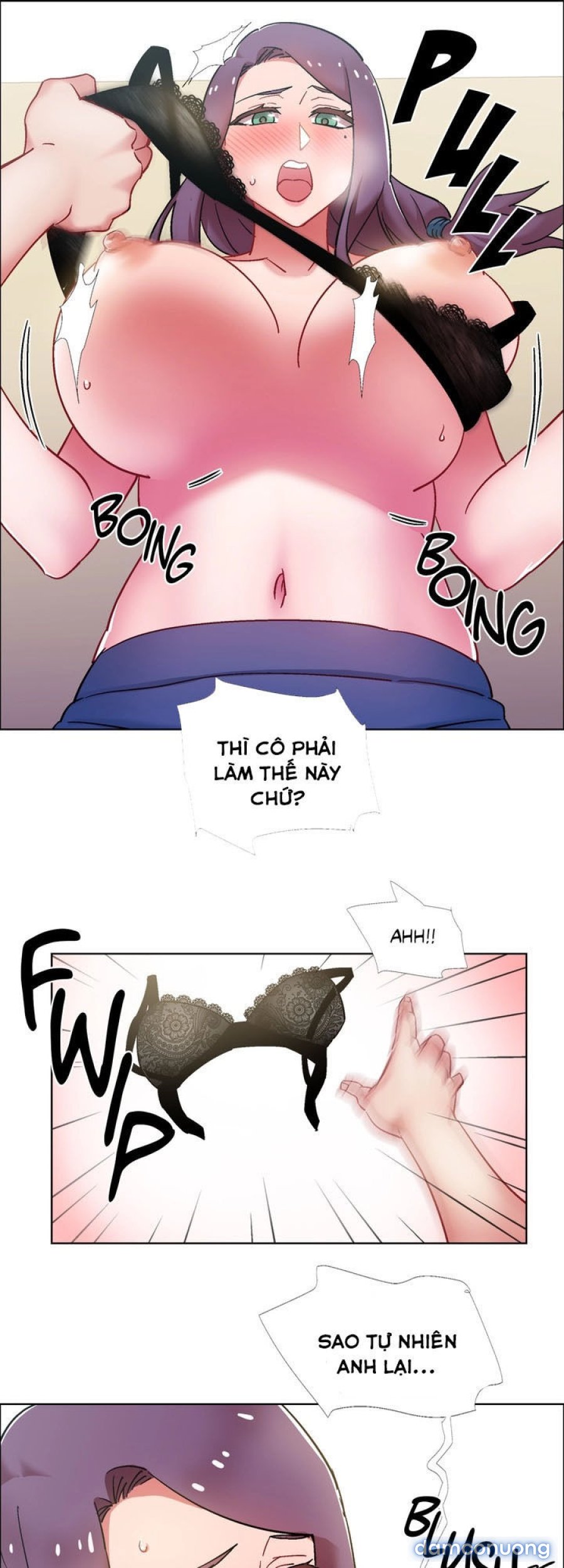 Thuê Băng Phim Heo 
