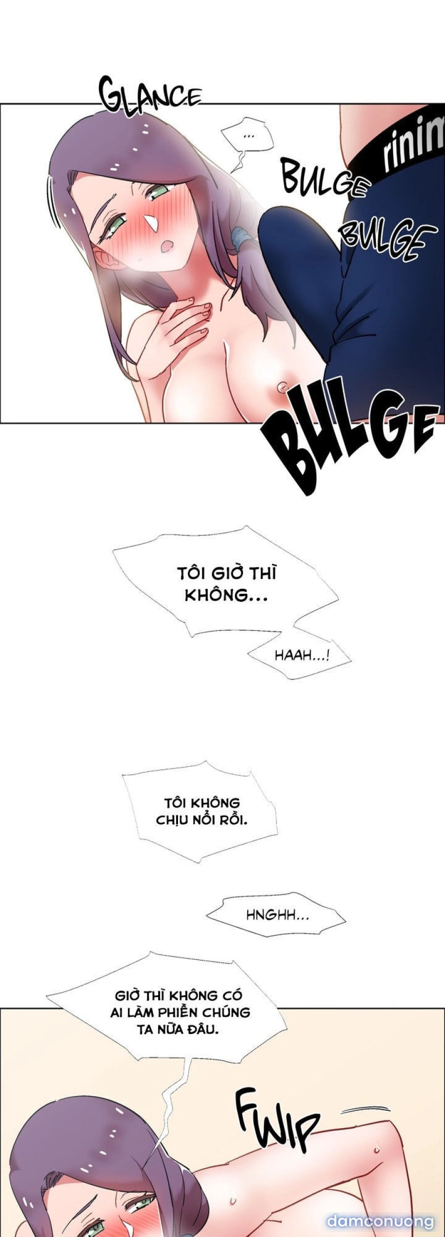 Thuê Băng Phim Heo 