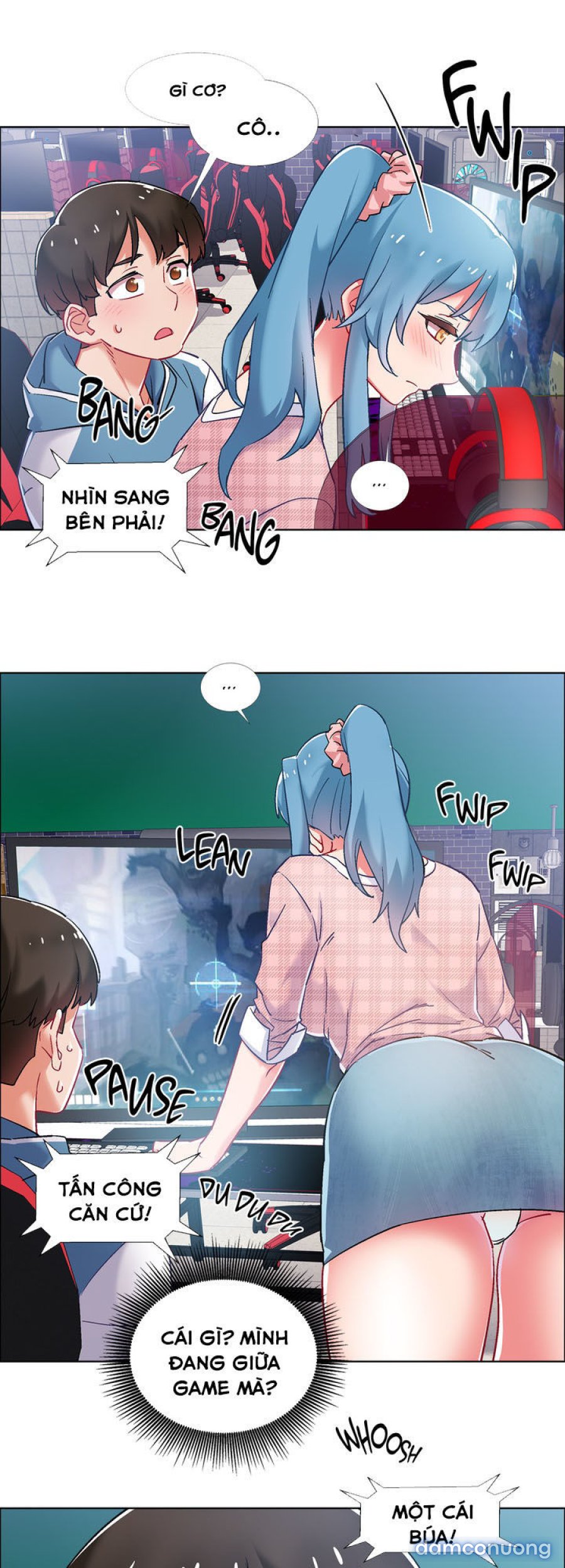 Thuê Băng Phim Heo 