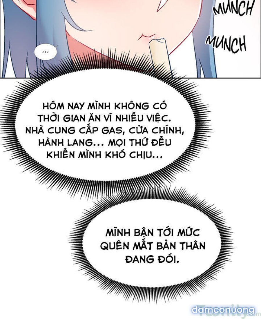 Thuê Băng Phim Heo 