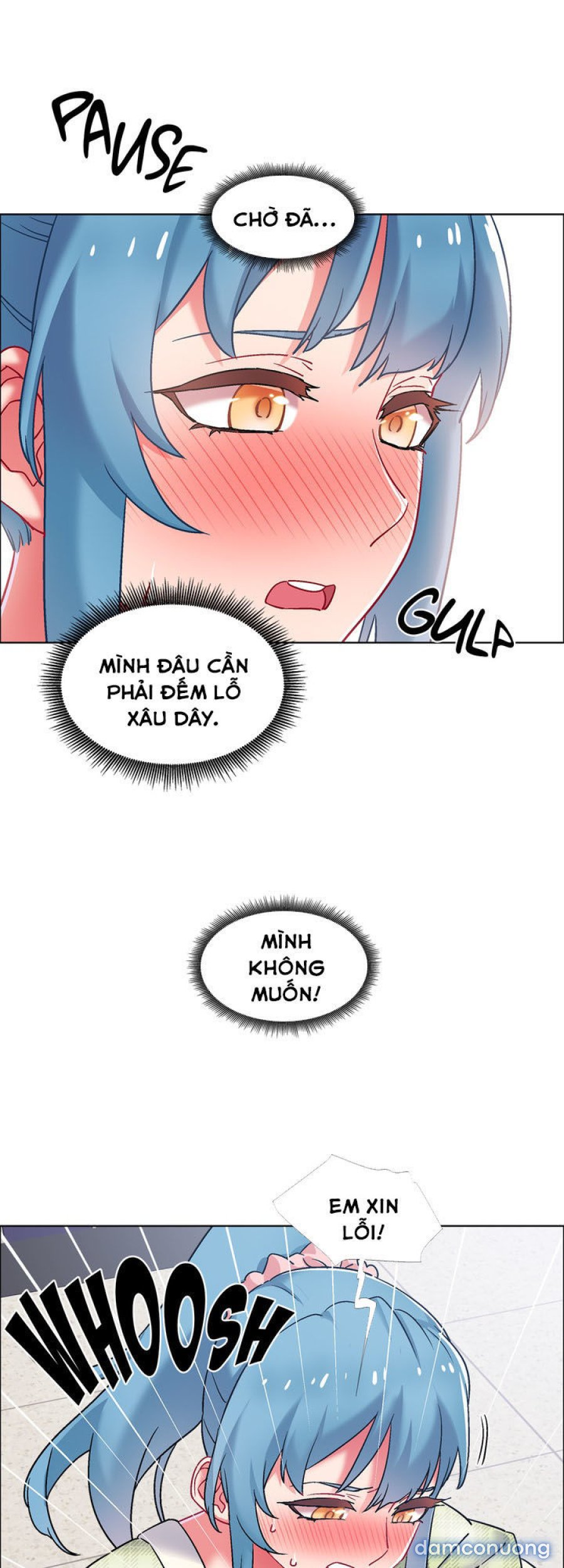 Thuê Băng Phim Heo 