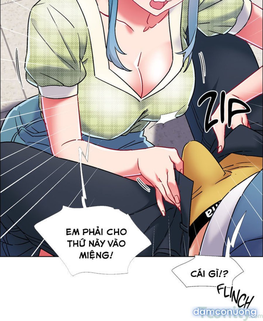 Thuê Băng Phim Heo 