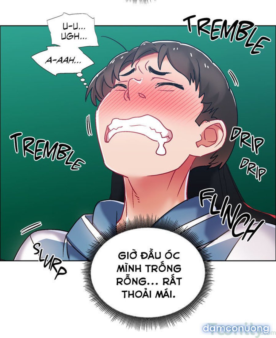 Thuê Băng Phim Heo 