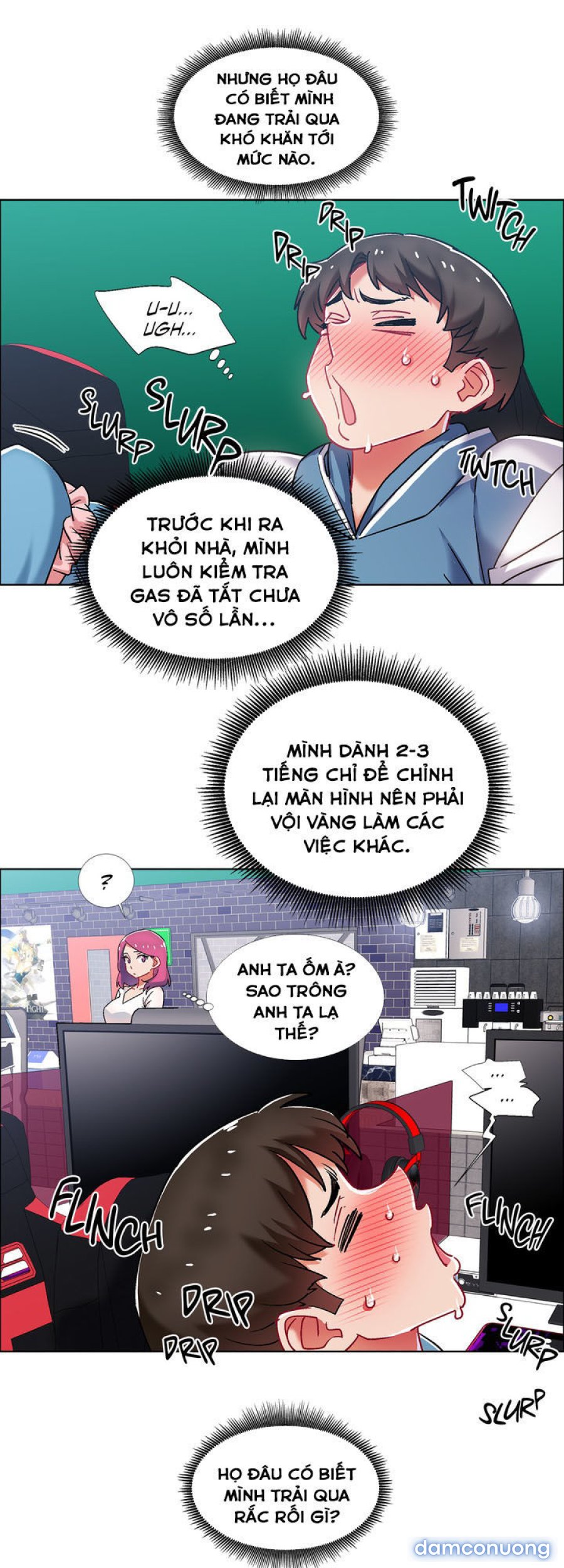 Thuê Băng Phim Heo 