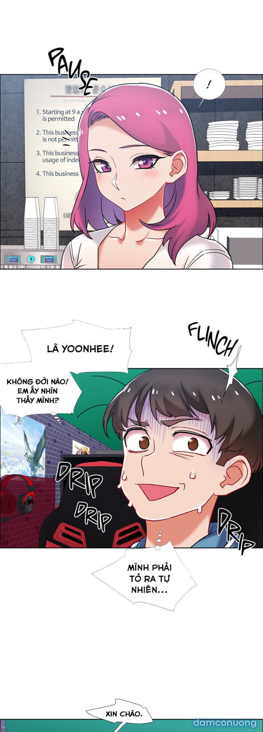 Thuê Băng Phim Heo 
