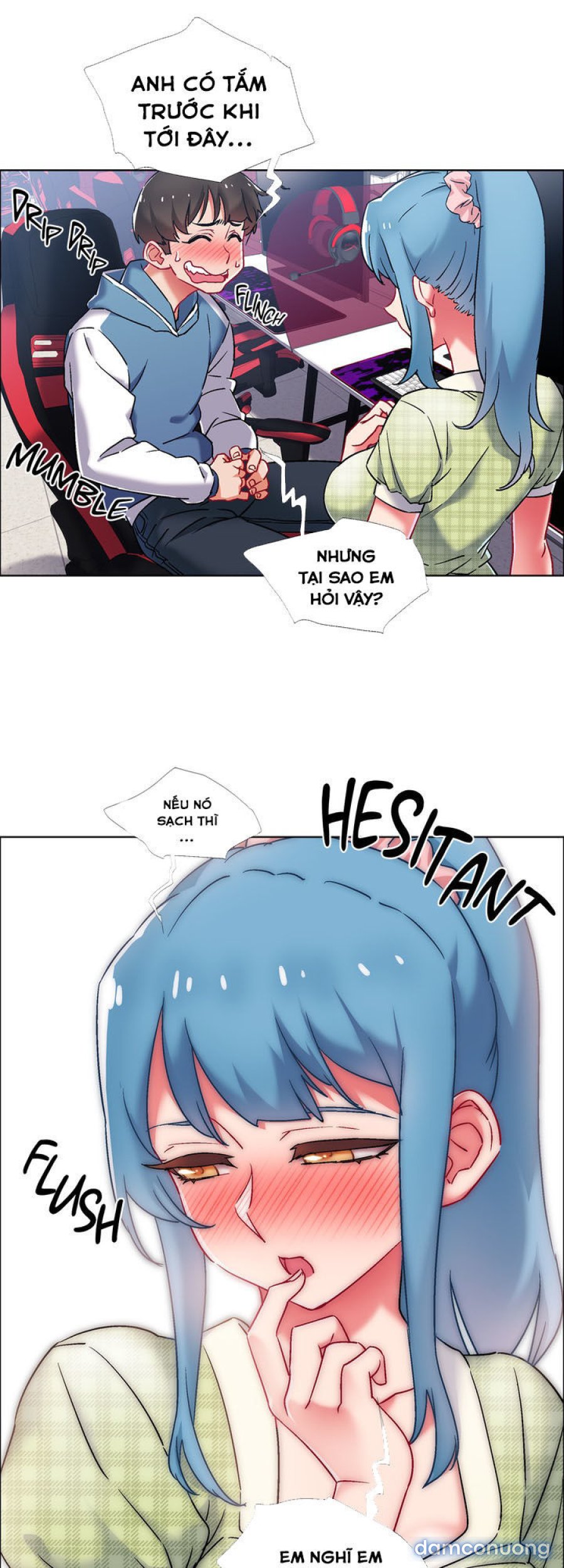 Thuê Băng Phim Heo 