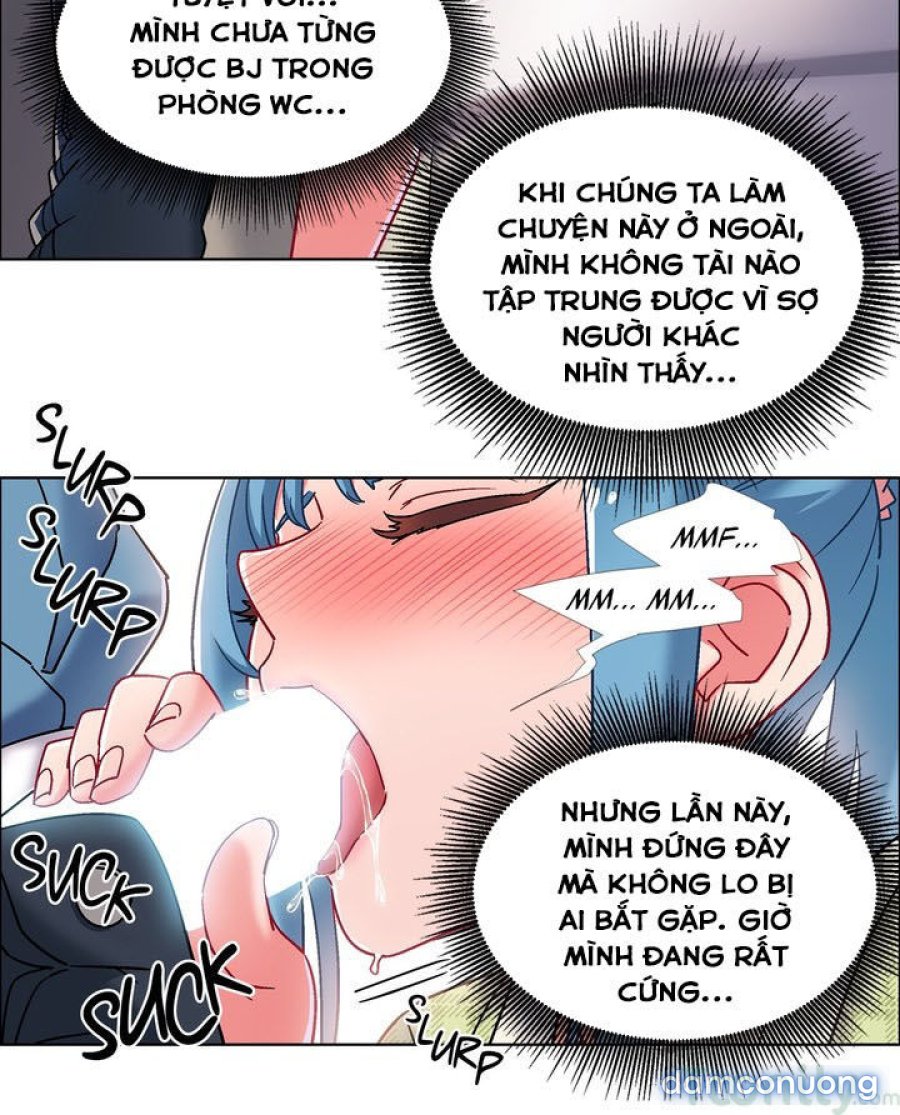 Thuê Băng Phim Heo 