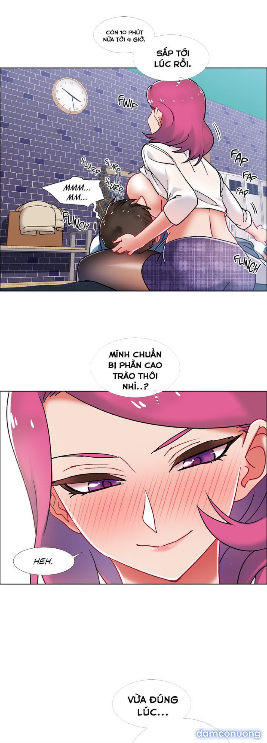 Thuê Băng Phim Heo 