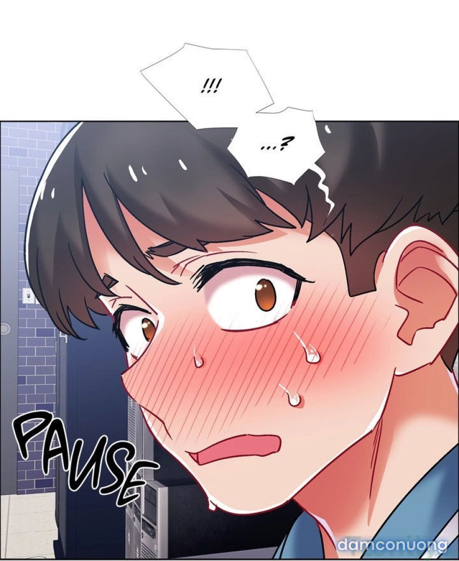 Thuê Băng Phim Heo 