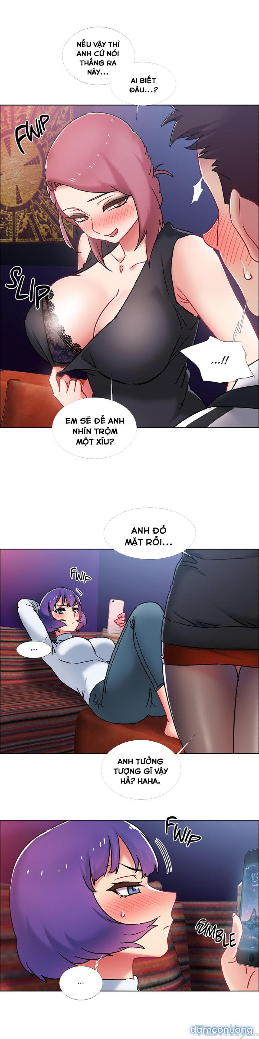 Thuê Băng Phim Heo 